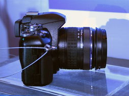 奧林巴斯E410雙頭套機(jī) 14-42mm與40-150mm鏡頭的經(jīng)典演繹